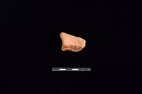 陶罐藏品圖，第2張